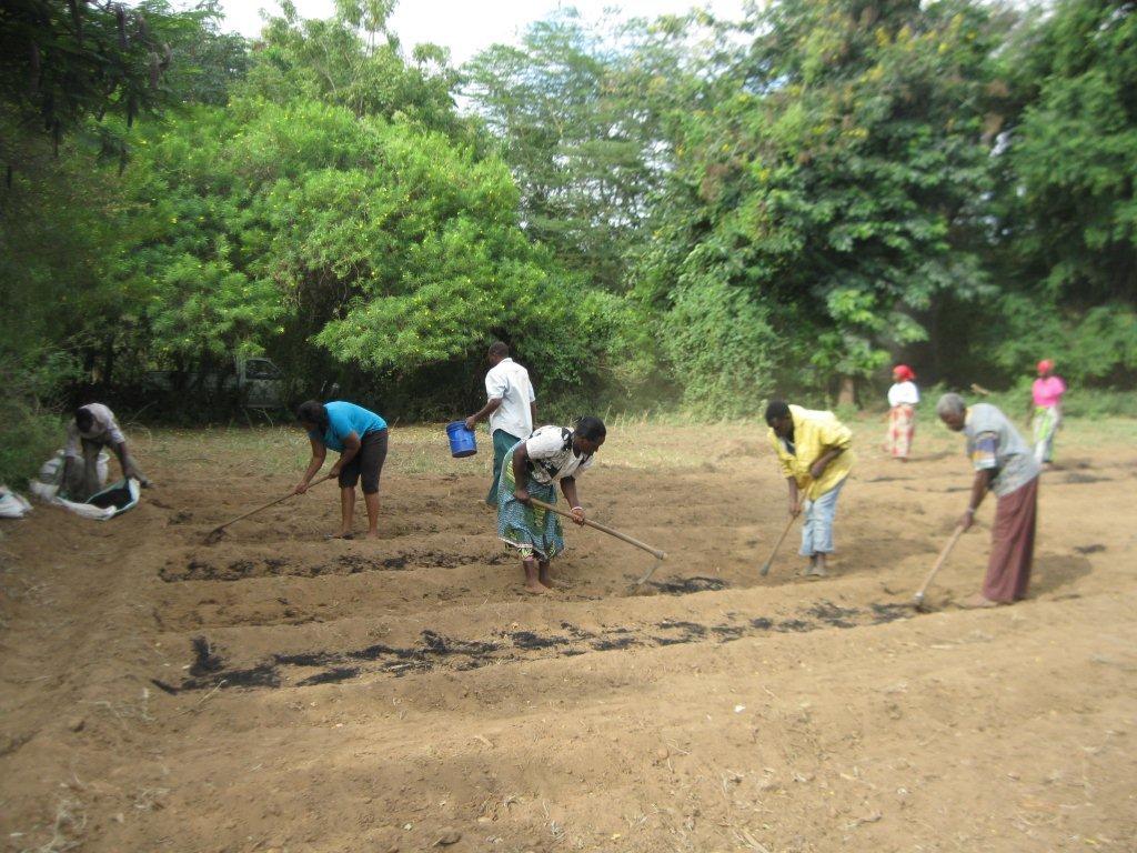 R family mixing in rice hull charcoal