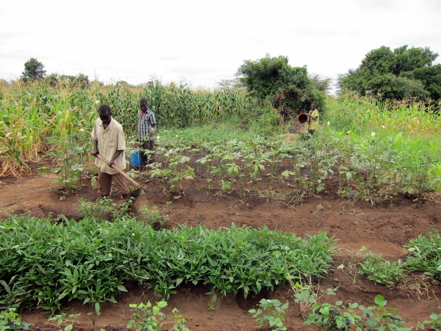 SA family mixing in Rice Hull Charcoal