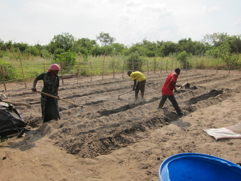 Asha and the KCM garden team working hard