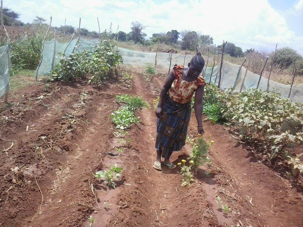 Mama BMB inspecting her vegetables.