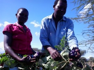 The MC's proudly showing off their eggplants