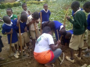 The kids at Kilema Primary School learning to measure their garden.