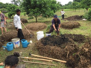 Organic Compost Cambodia