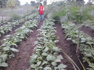 Frank Safieli Msimanje and their garden
