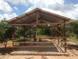 Cow shed Siem Reap Cambodia