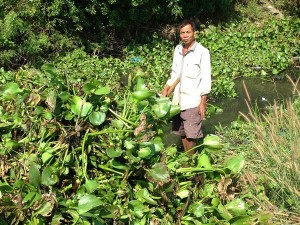 RM collecting green material for compost