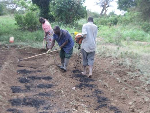 G family mixing in rice hull charcoal