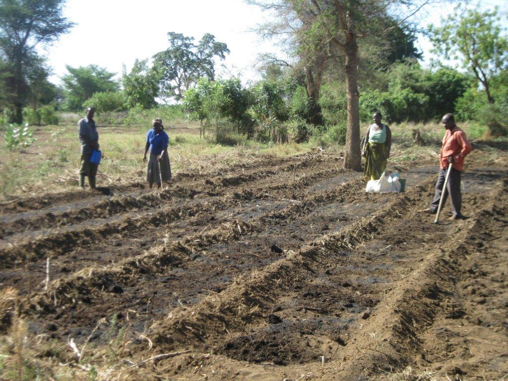 O family earth basins ready for planting