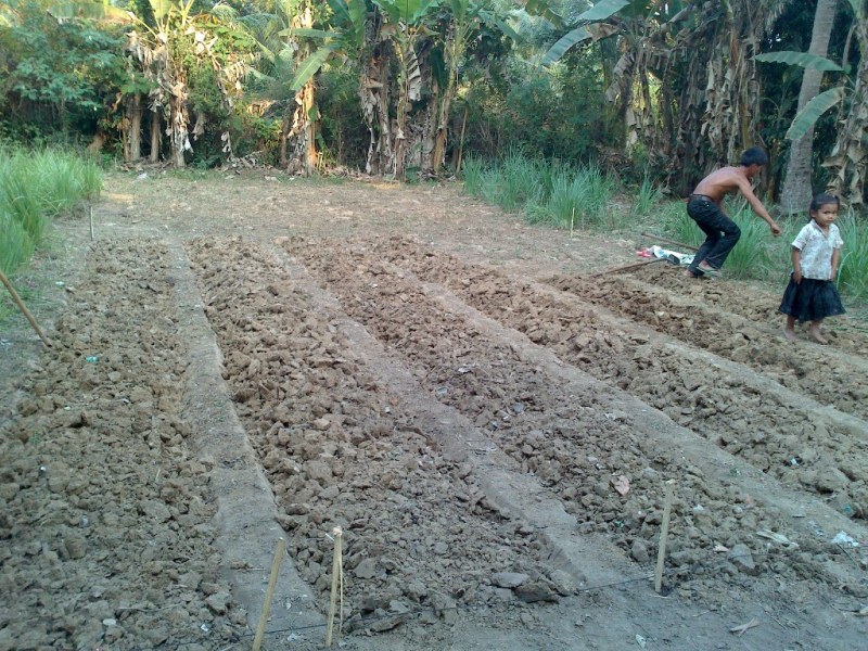 building new faith garden at Yat Tie family ( CFI)