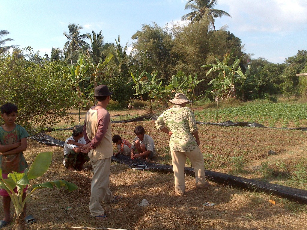 P family garden's net fence being built - 11 Jan 2013