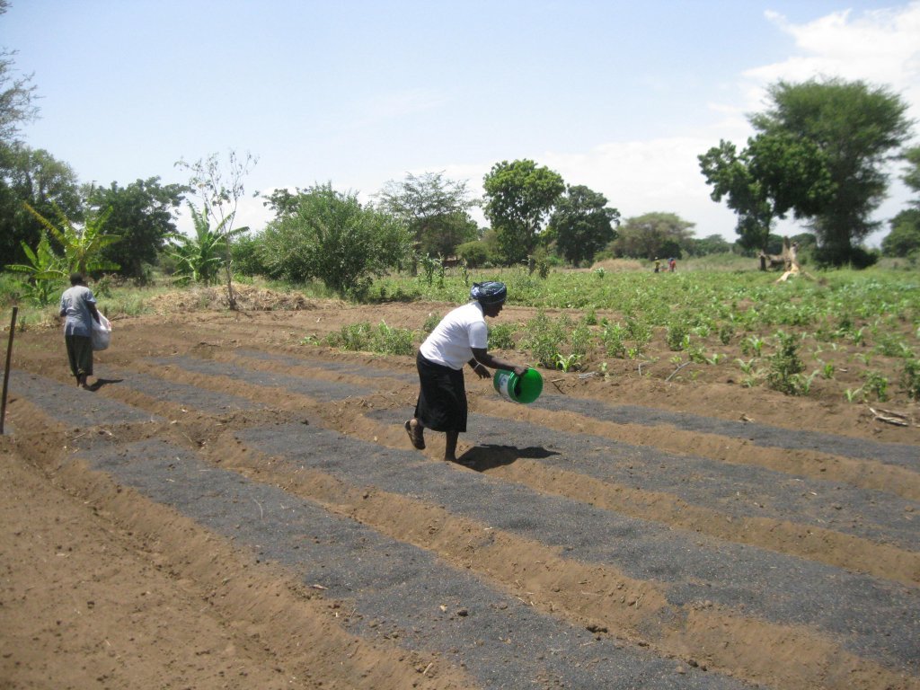 Adding rice hull charcoal