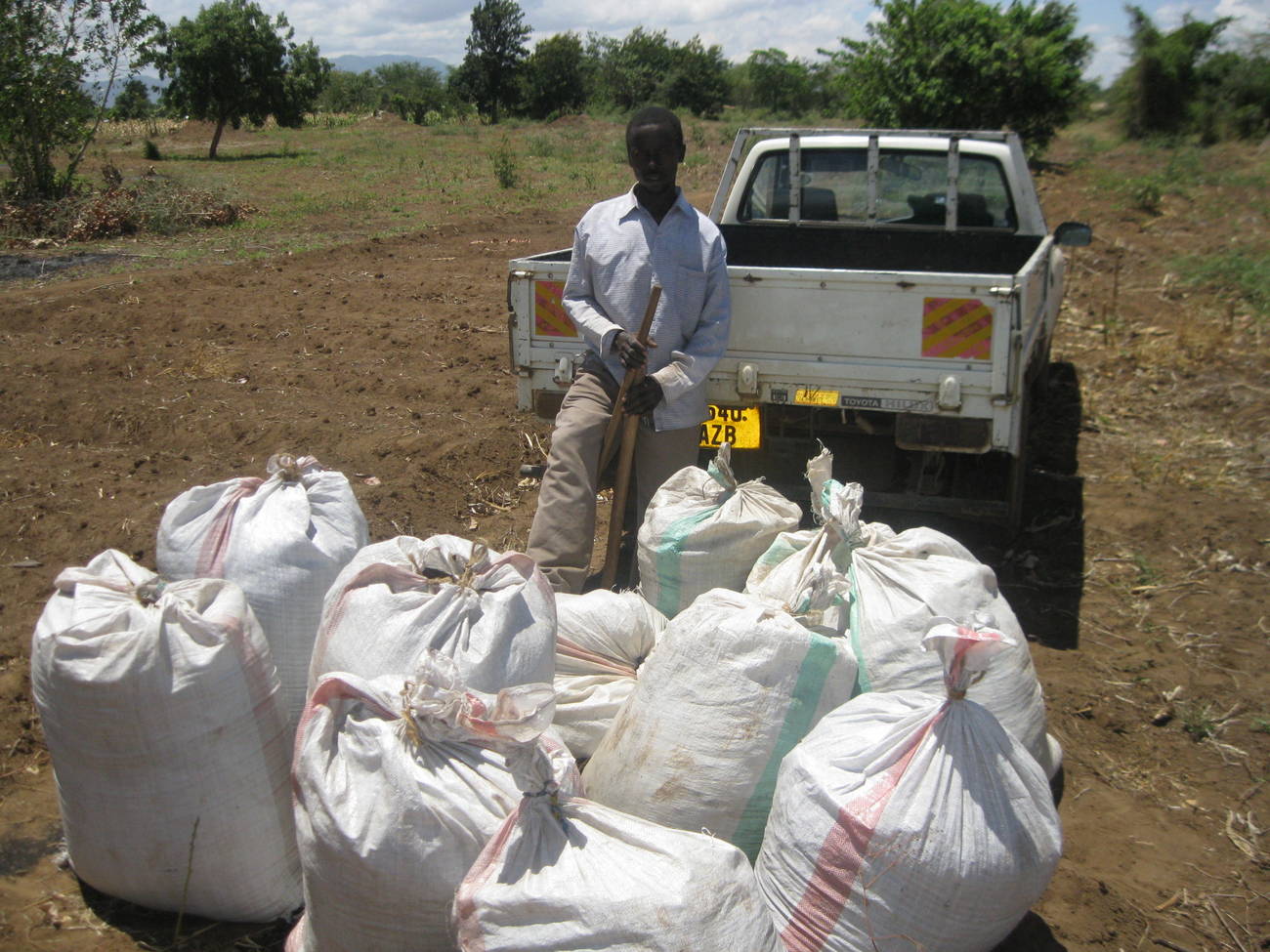 Compost and rice hull charcoal for SA garden