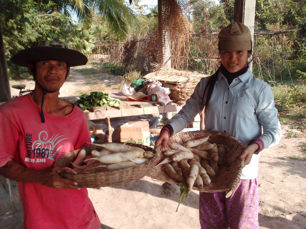 TP and his daughter harvested radish