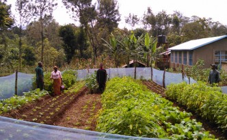 School garden Mkyashi 600