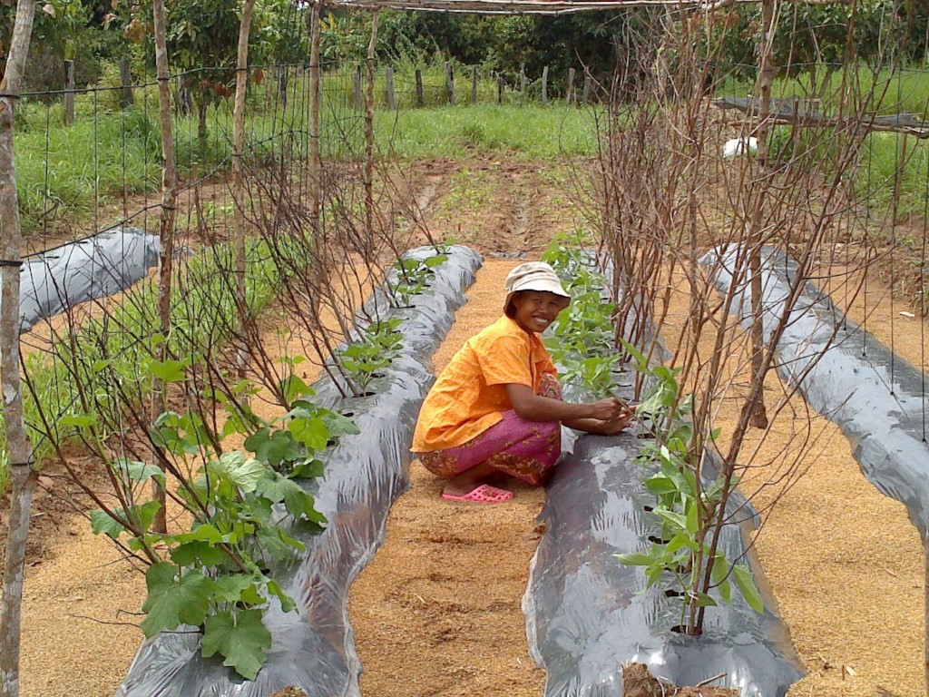 Moum and her healthy faith garden Siem reap