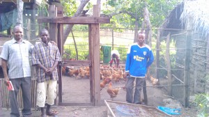 Micro Loan chicken banda 600