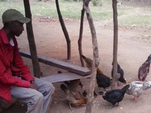 Father of GAM family and his chickens.