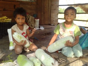 Bon Chat childre harvesting the gourd fruit from thier garden