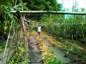 Bautista, Enrilyn Garden 600