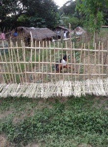 AN working in garden