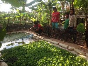 CWC and family show off their home made fish pond