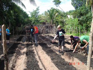 Student helping to plant organic vegetable garden