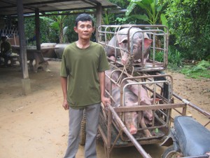 HPH with his fattened pigs ready for market