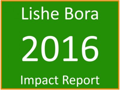 lishe-bora-2016-impact-report-logo-v2