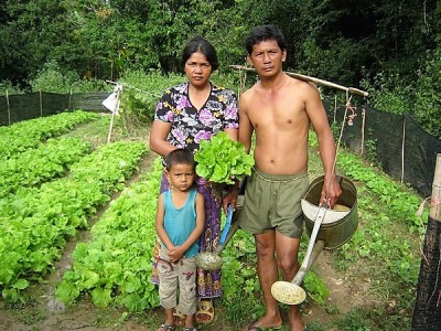 HSV family in their organic vegeable garden Cambodia