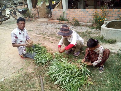 CWC buying vegetables from local families