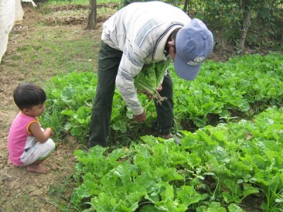 HPH and his son in their organic garden