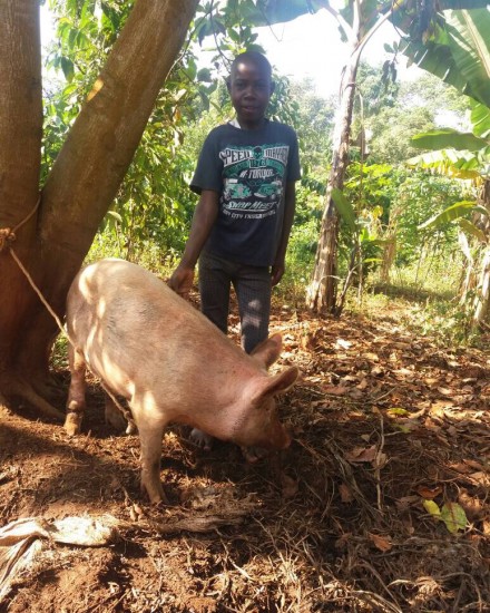 Wamukisa - ABCD - SOS Family - boy with pig